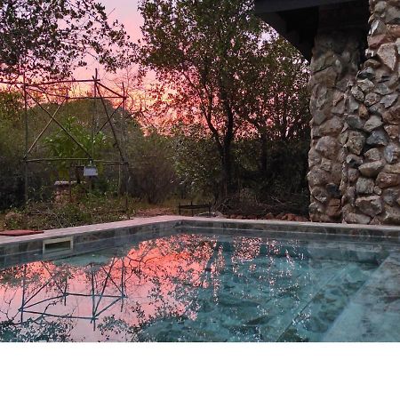 Lion King Villa Marloth Park Exterior photo